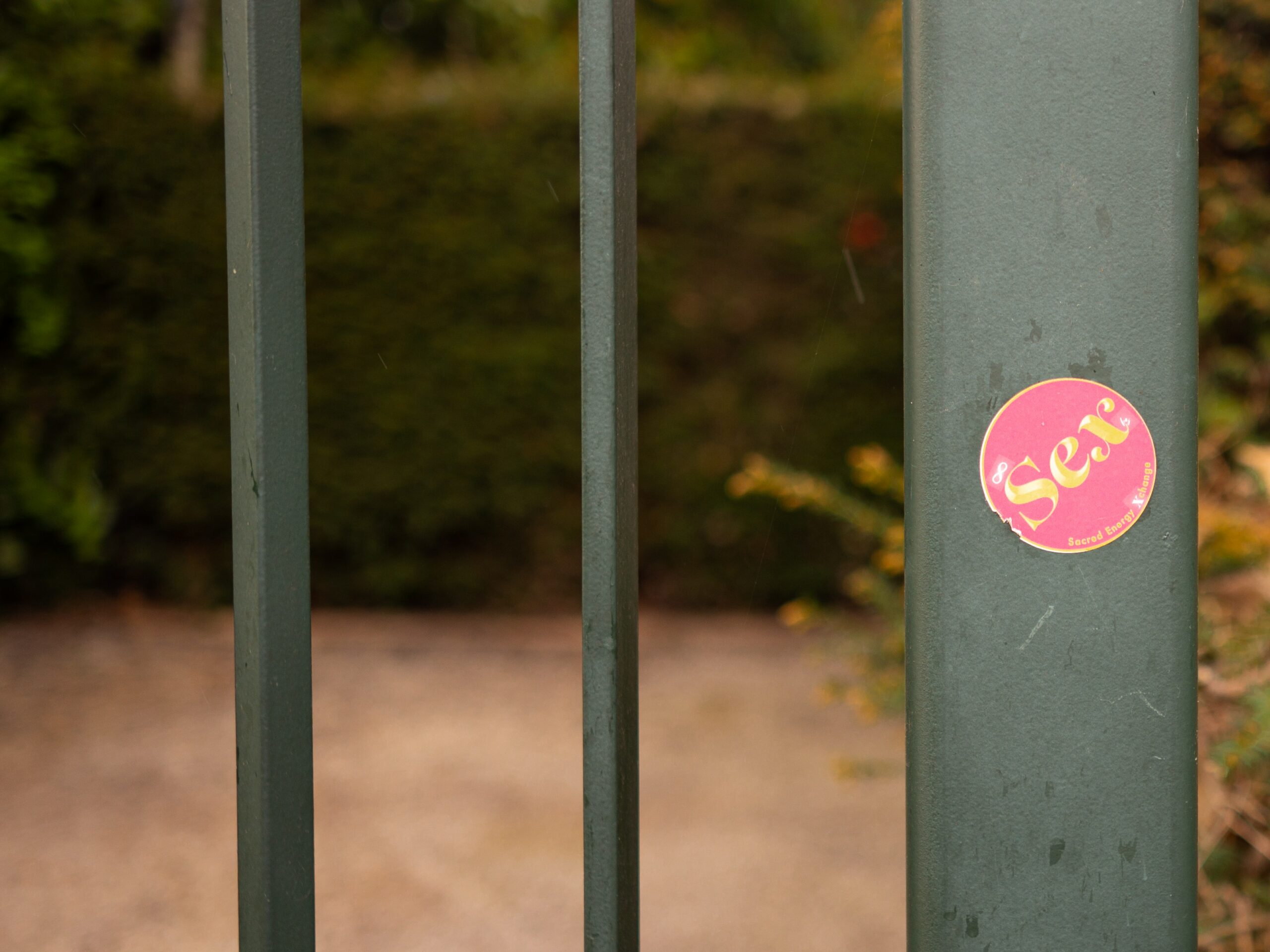 the-blowup-6OmweW3iy_s-unsplash Locked sex gate - sexual desire