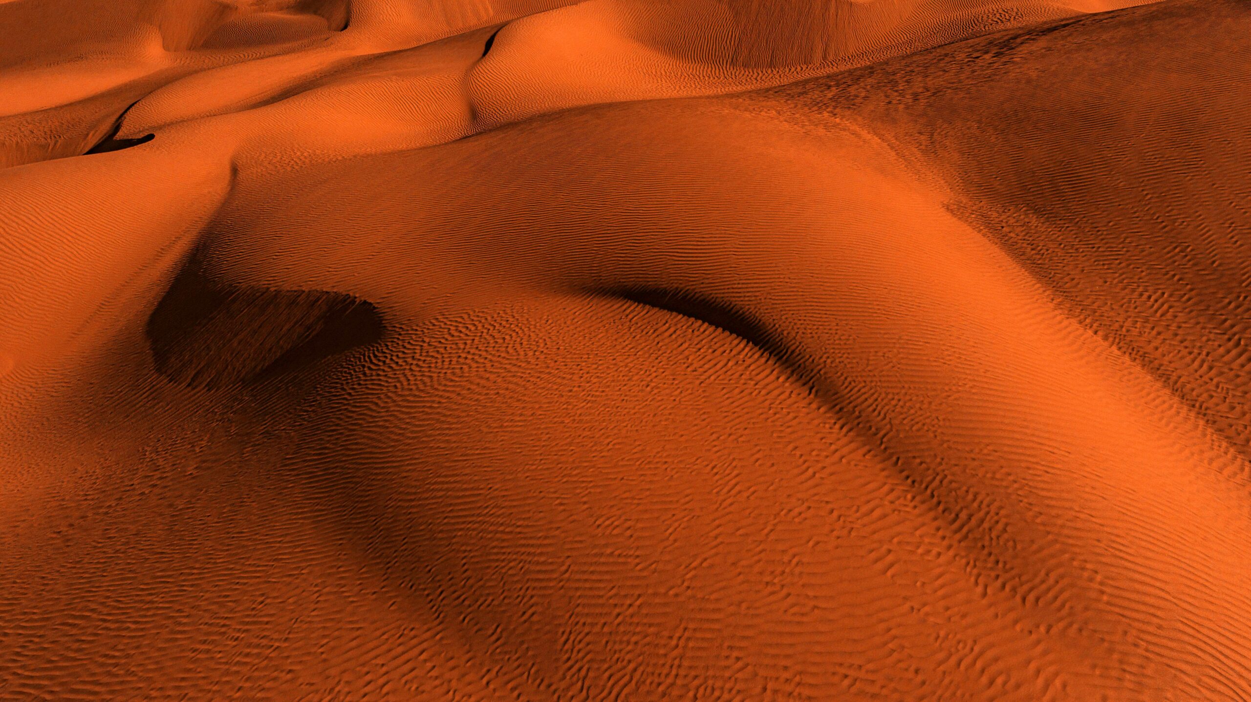 Sensual sand ripples in a desert.